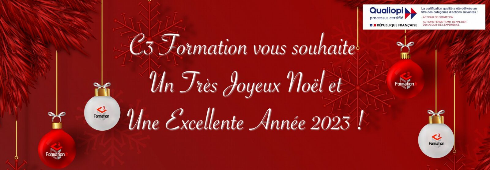 Joyeuses Fêtes de fin d'année 2023